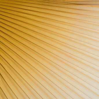 Pleated fabric HONEY Ombre