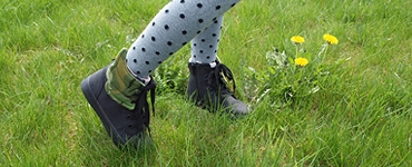 Thumb_7958e6fa5fa5445491ef6b7a29bc8012